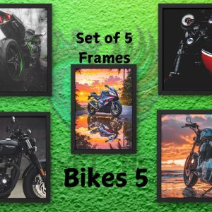 Bikes 5 Frames