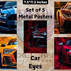 Car Eyes