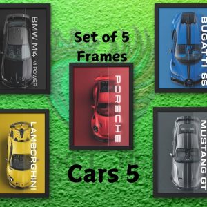Car Frames